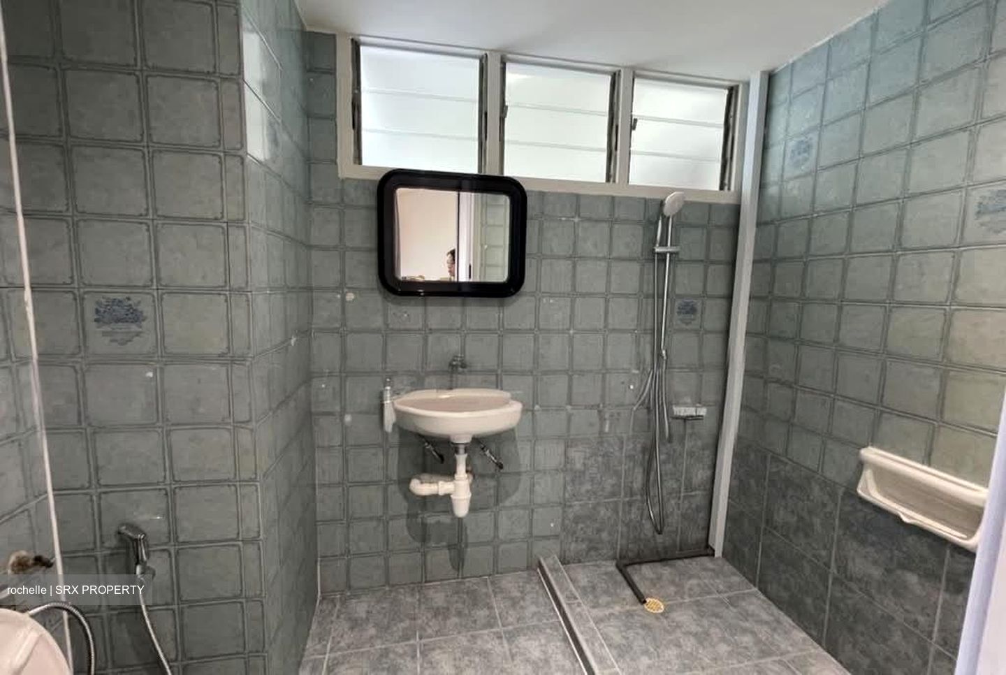 Dunearn Road (D11), Condominium #566348321